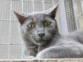 Petro (1)